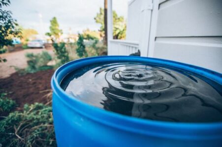 Gutter to Garden in 4 Easy Steps Image